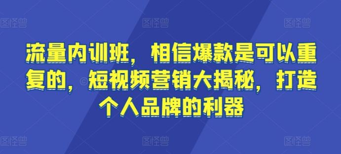 流量内训班,相信爆款是可以重复的,短视频营销大揭秘,打造个人品牌的利器-钞能力网全创