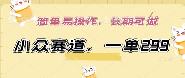 小众赛道,一单299.简单易操作,长期可做【揭秘】-钞能力网全创