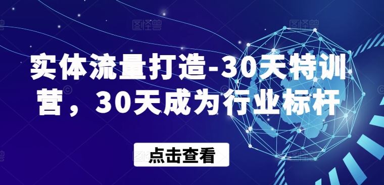 实体流量打造-30天特训营,30天成为行业标杆-钞能力网全创
