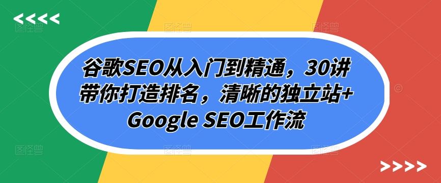谷歌SEO从入门到精通,30讲带你打造排名,清晰的独立站+Google SEO工作流-钞能力网全创
