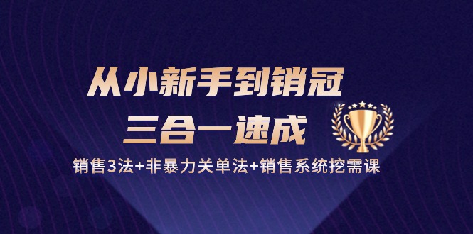 从小新手到销冠三合一速成:销售3法+非暴力关单法+销售系统挖需课 (27节)-钞能力网全创