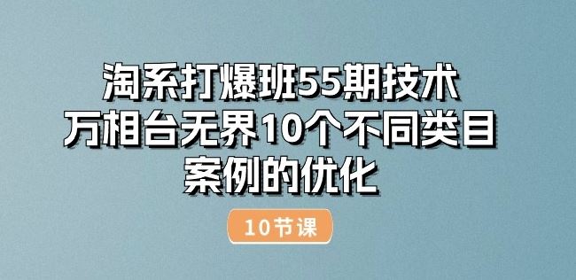 淘系打爆班55期技术:万相台无界10个不同类目案例的优化(10节)-钞能力网全创
