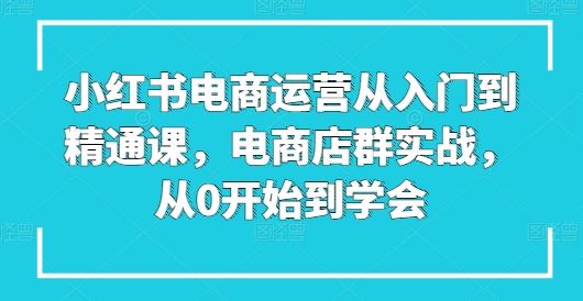 小红书电商运营从入门到精通课,电商店群实战,从0开始到学会-钞能力网全创