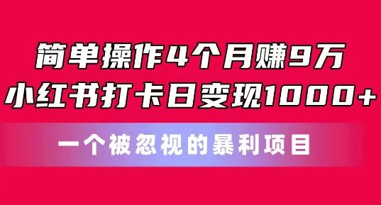 简单操作4个月赚9w,小红书打卡日变现1k,一个被忽视的暴力项目【揭秘】-钞能力网全创