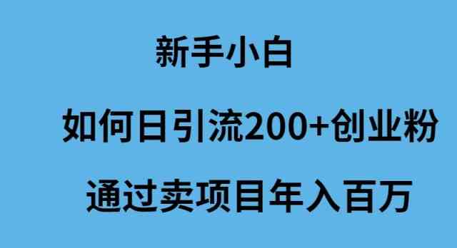 (9668期)新手小白如何日引流200+创业粉通过卖项目年入百万-钞能力网全创
