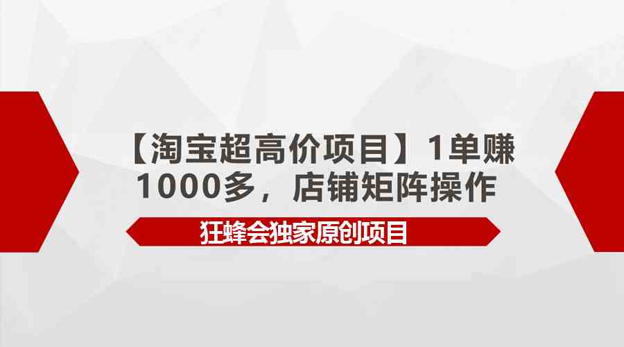 (9849期)【淘宝超高价项目】1单赚1000多,店铺矩阵操作-钞能力网全创