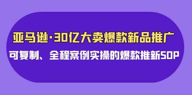 (9944期)亚马逊30亿·大卖爆款新品推广,可复制、全程案例实操的爆款推新SOP-钞能力网全创