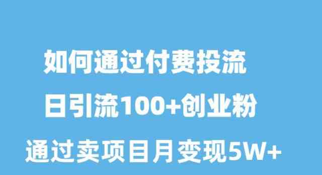 (10189期)如何通过付费投流日引流100+创业粉月变现5W+-钞能力网全创