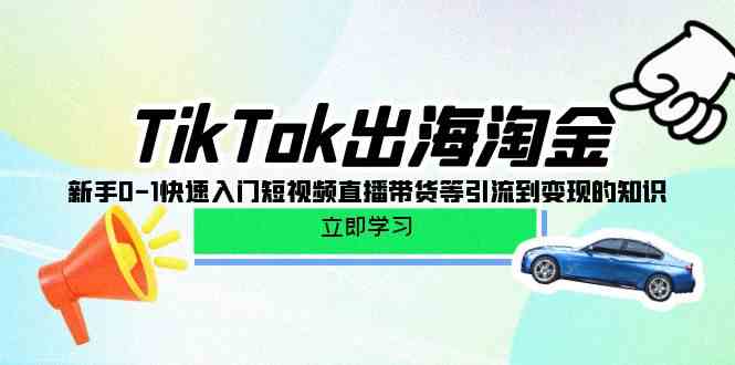 (10035期)TikTok-出海淘金,新手0-1快速入门短视频直播带货等引流到变现的知识-钞能力网全创