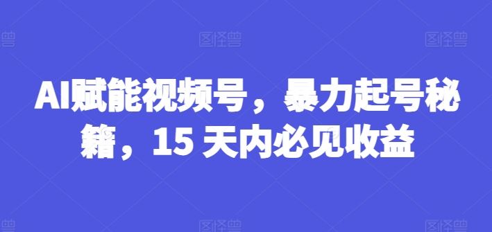 AI赋能视频号,暴力起号秘籍,15 天内必见收益【揭秘】-钞能力网全创