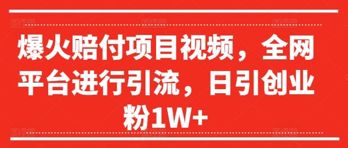 爆火赔付项目视频,全网平台进行引流,日引创业粉1W+【揭秘】-钞能力网全创