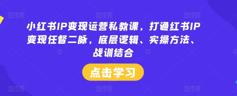 小红书IP变现运营私教课,打通红书IP变现任督二脉,底层逻辑、实操方法、战训结合-钞能力网全创
