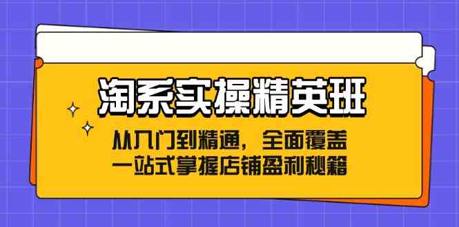 淘系实操精英班:从入门到精通,全面覆盖,一站式掌握店铺盈利秘籍-钞能力网全创