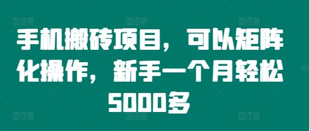 手机搬砖项目,可以矩阵化操作,新手一个月轻松5000多-钞能力网全创