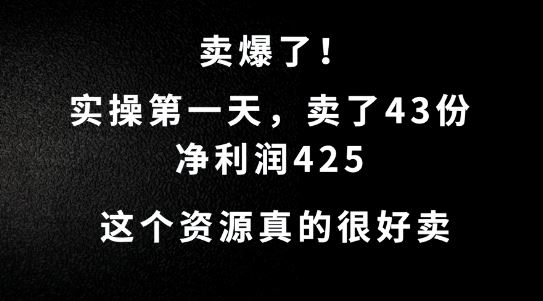 这个资源,需求很大,实操第一天卖了43份,净利润425【揭秘】
