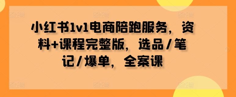 小红书1v1电商陪跑服务,资料+课程完整版,选品/笔记/爆单,全案课-钞能力网全创