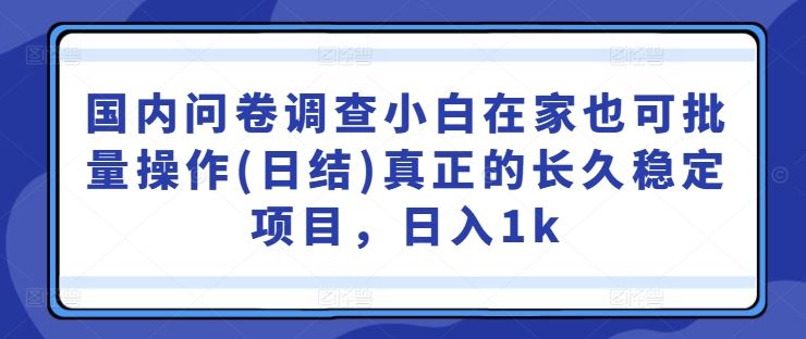国内问卷调查小白在家也可批量操作(日结)真正的长久稳定项目,日入1k【揭秘】-钞能力网全创