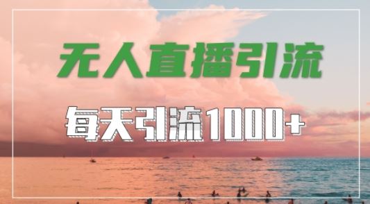 抖音快手视频号全平台通用,无人直播引流法,超暴力引流1000+高质量精准创业粉【揭秘】-钞能力网全创