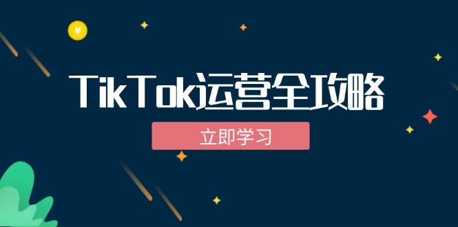 TikTok实战运营全攻略:从下载软件到变现,抖音海外版实操教程-钞能力网全创