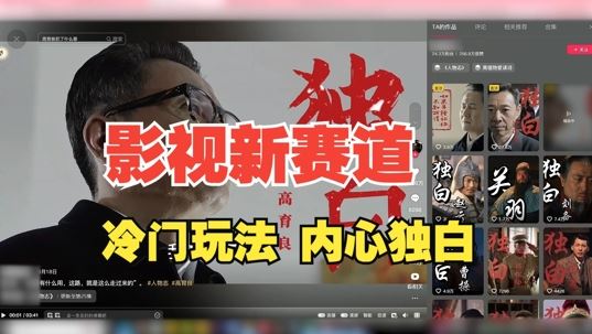 最新影视解说玩法,人物独白,30天涨粉24万+,全流程拆解【揭秘】-钞能力网全创