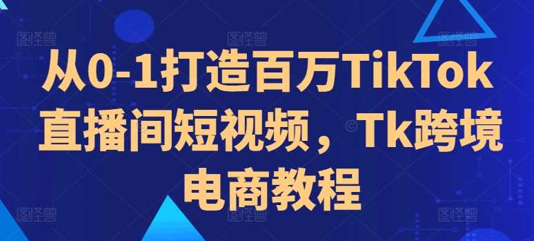 从0-1打造百万TikTok直播间短视频,Tk跨境电商教程-钞能力网全创