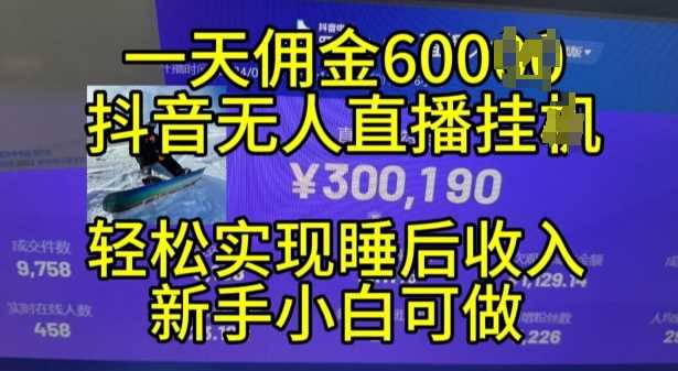 2024年11月抖音无人直播带货挂JI,小白的梦想之路,全天24小时收益不间断实现真正管道收益【揭秘】-钞能力网全创