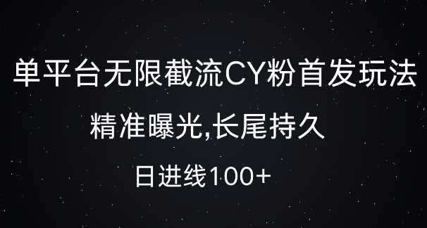 单平台无限截流创业粉首发玩法,精准曝光,长尾持久,日引流100+【揭秘】-钞能力网全创