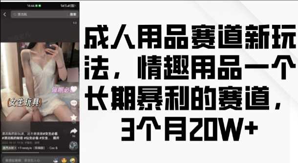 成人用品赛道新玩法,情趣用品一个长期暴利的赛道,3个月收益20个【揭秘】-钞能力网全创