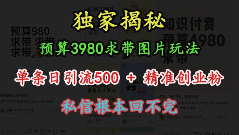 预算3980求带 图片玩法,单条日引流500+精准创业粉,私信根本回不完