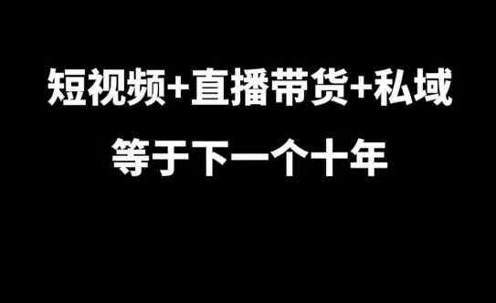 短视频+直播带货+私域等于下一个十年,大佬7年实战经验总结-钞能力网全创