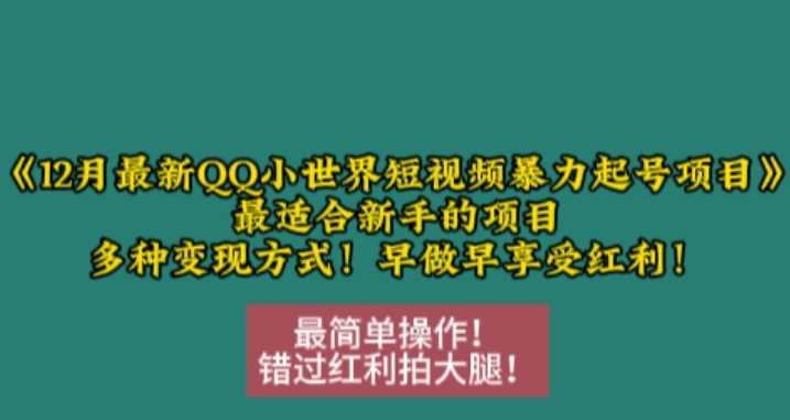 最新QQ小世界短视频暴力起号项目,最适合新手的项目,多种变现方式-钞能力网全创