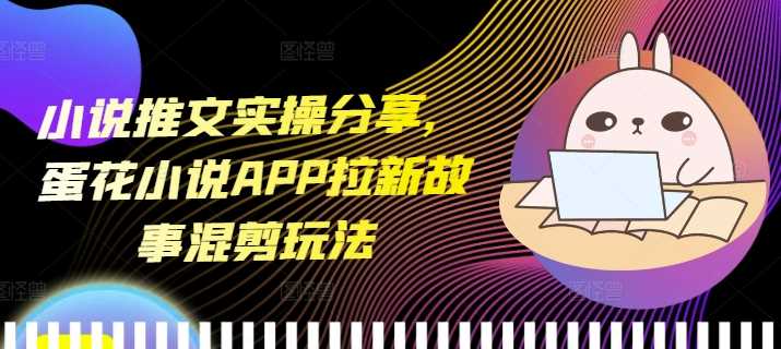 小说推文实操分享,蛋花小说APP拉新故事混剪玩法-钞能力网全创