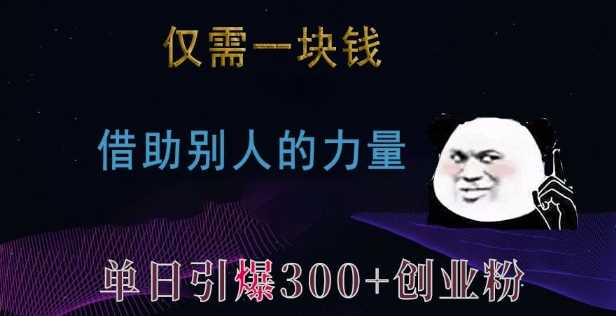 仅需一块钱,借助别人的力量,单日引爆300+创业粉、兼职粉【揭秘】-钞能力网全创