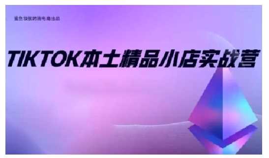 TikTok本土精品小店出海实战营,从入门到高阶,不止0-1!-钞能力网全创