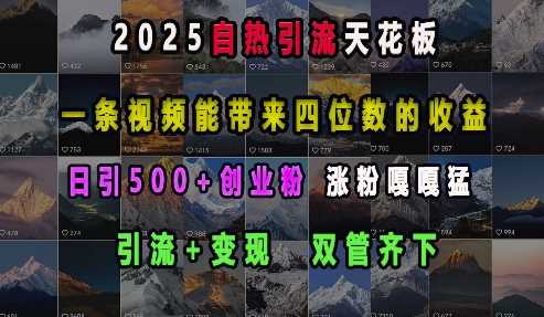 2025自热引流天花板,一条视频能带来四位数的收益,引流+变现双管齐下,日引500+创业粉,涨粉嘎嘎猛-钞能力网全创