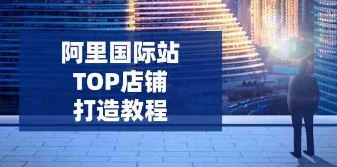 阿里国际站TOP店铺打造教程:涵盖平台到高阶,解决运营难题,提升询盘-钞能力网全创