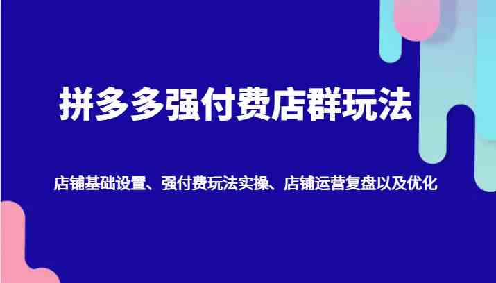 拼多多强付费店群玩法:店铺基础设置、强付费玩法实操、店铺运营复盘以及优化-钞能力网全创
