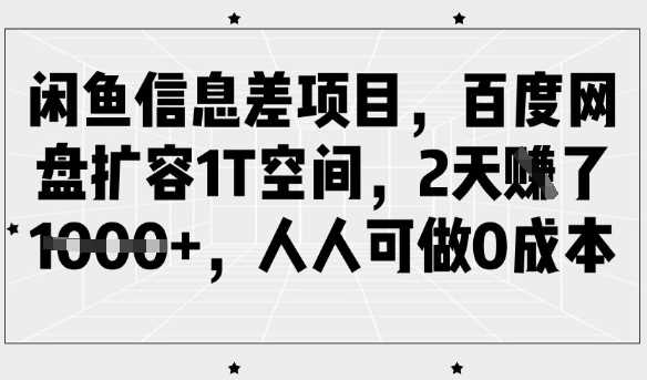 闲鱼信息差项目,百度网盘扩容1T空间,2天收益1k+,人人可做0成本-钞能力网全创