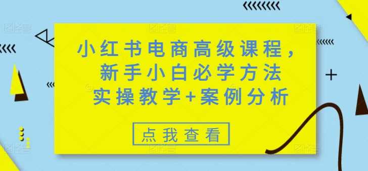 小红书电商高级课程,新手小白必学方法,实操教学+案例分析-钞能力网全创