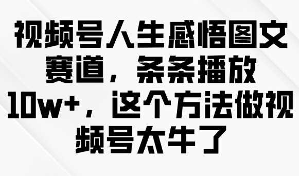 视频号人生感悟图文赛道,条条播放10w+,这个方法做视频号太牛了-钞能力网全创