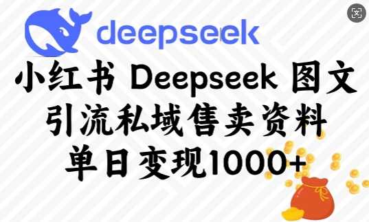 小红书Deepseek图文引流私域售卖资料,单日变现多张-钞能力网全创