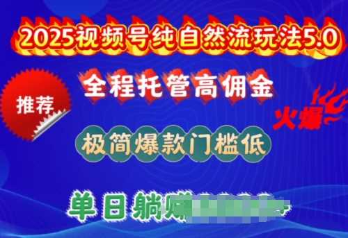 2025视频号纯自然流玩法5.0,全程托管高佣金,极简爆款门槛低,单日收益多张【揭秘】-钞能力网全创