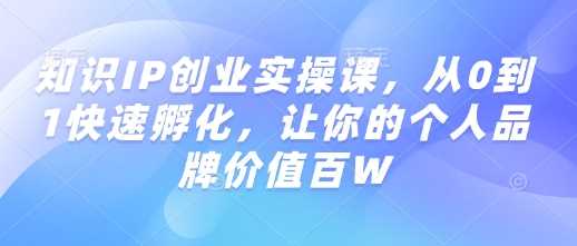 知识IP创业实操课,从0到1快速孵化,让你的个人品牌价值百W-钞能力网全创