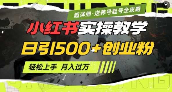 小红书最新日引500+创业粉实操教学【超详细】小白轻松上手,月入1W+,附小红书养号起号SOP-钞能力网全创