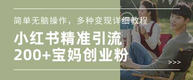 小红书混剪日引200+宝妈创业粉,简单无脑操作,多种变现详细教程-钞能力网全创