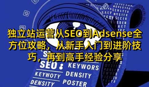 独立站运营从SEO到Adsense全方位攻略,从新手入门到进阶技巧,再到高手经验分享-钞能力网全创