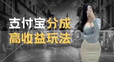 支付宝分成计划新玩法,利用交通事故视频,赚收益,轻松月入过W,操作简单【揭秘】-钞能力网全创