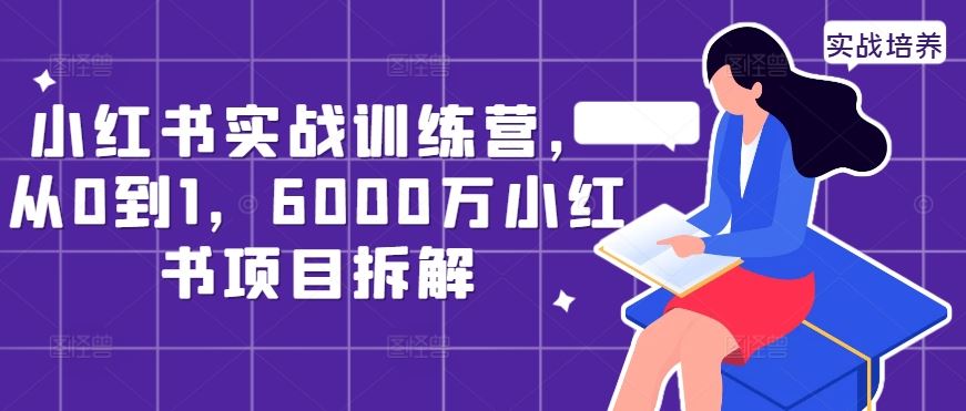 小红书实战训练营,从0到1,6000万小红书项目拆解-钞能力网全创