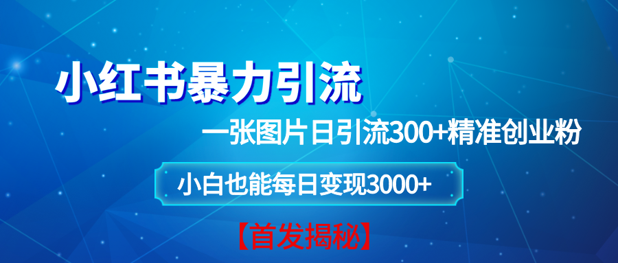 小红书暴力引流法,一张图片日引 300+精准创业粉,每日稳定变现 3000+【揭秘】-钞能力网全创