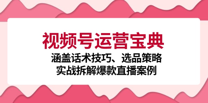 视频号运营宝典:涵盖话术技巧、选品策略、实战拆解爆款直播案例-钞能力网全创